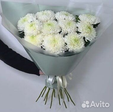 Букет из 11 одноголовых Хризантем. Доставка