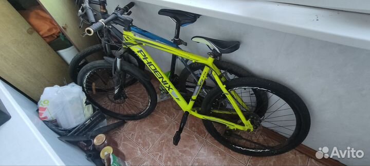 Велосипед phoenix