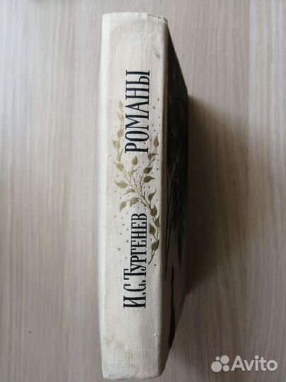 Тургенев И. С. 