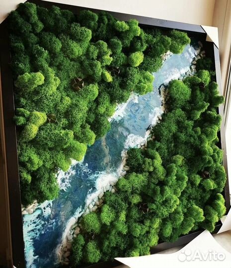 Стабилизированный мох