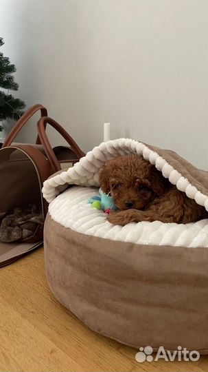 Лежанка для животных