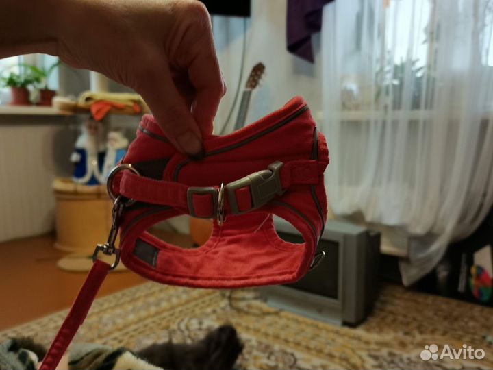 Шлейка для кошки