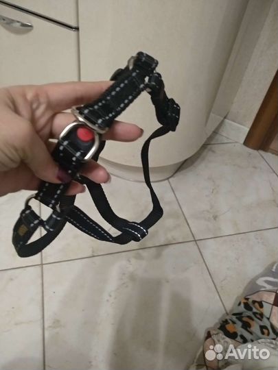 Ошейник новый, шлейка новая