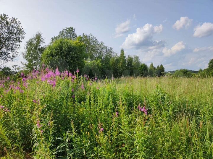 Участок 30 сот. (ИЖС)