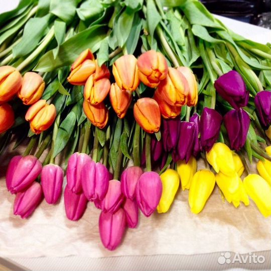 Тюльпаны к 8 марта оптом