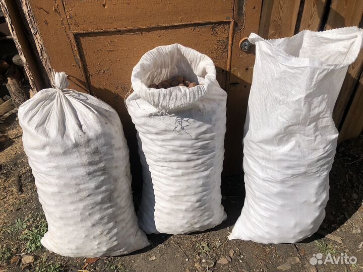 Картофель кормовой