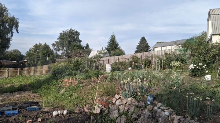 Участок 12 сот. (СНТ, ДНП)