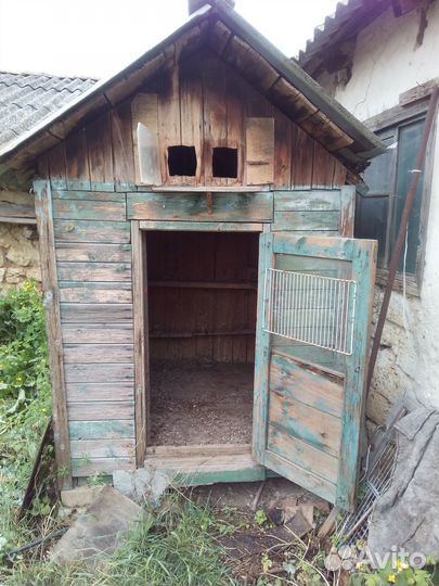 Голубятник