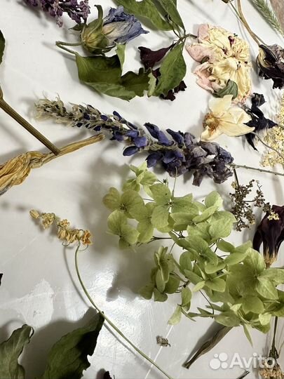 Готовый набор сухоцветов для эпоксидной смолы