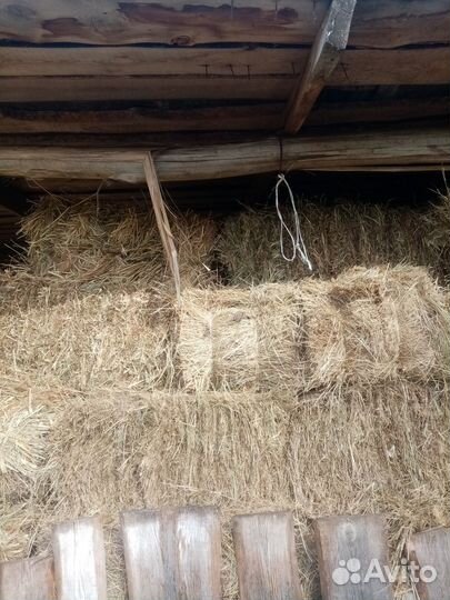 Сено солома в тюках