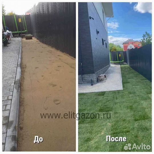 Рулонный газон от производителя