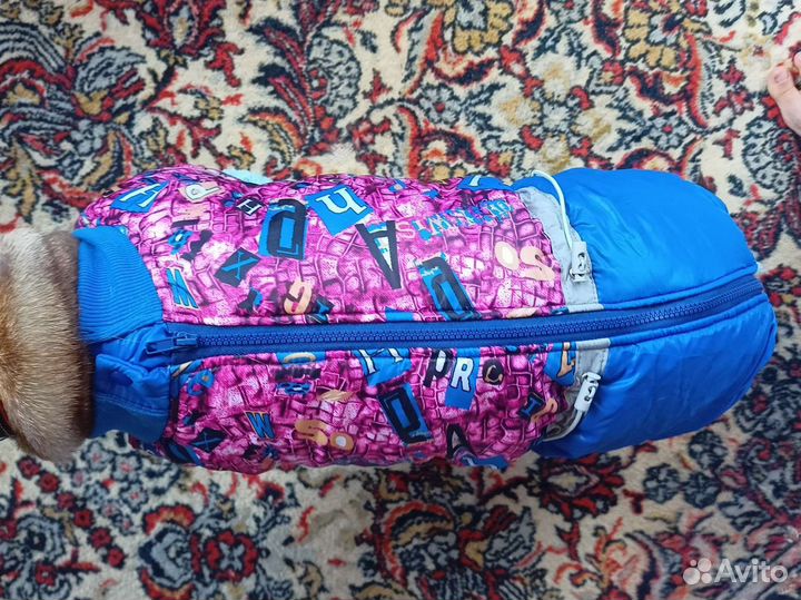 Костюм для собаки