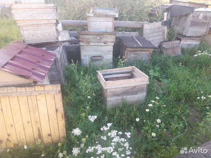 Ульи для пчел