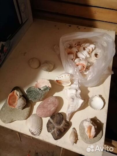Камешки, ракушки с моря