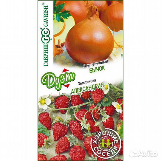 Лук репчатый Бычок + Земляника Александрия серия