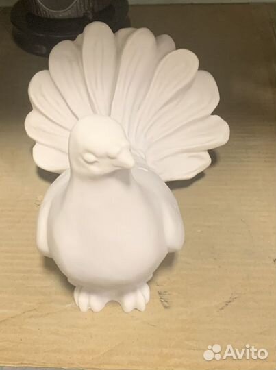 Голубь белый мраморный