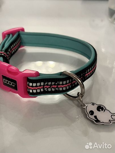 Амуниция для собак