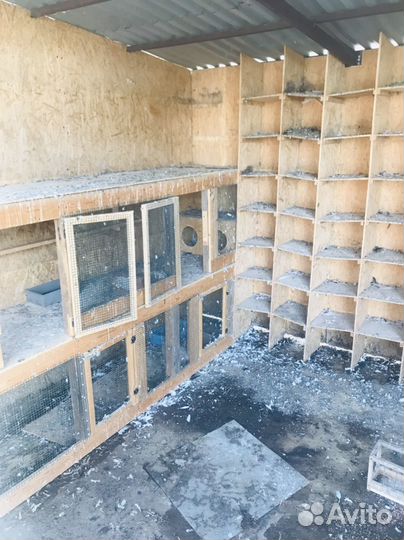 Клетка Вольер для собаки для птицы