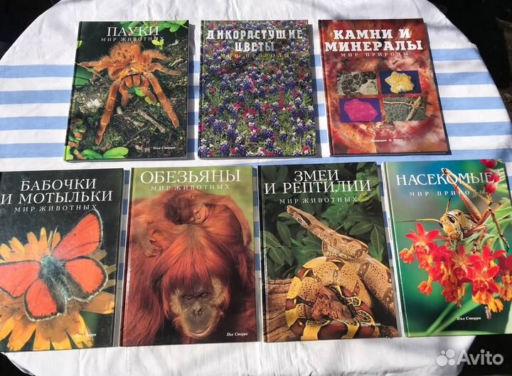 Мир животных Белфакс