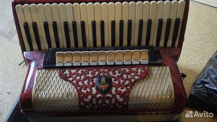 Аккoрдeoн ноrсн