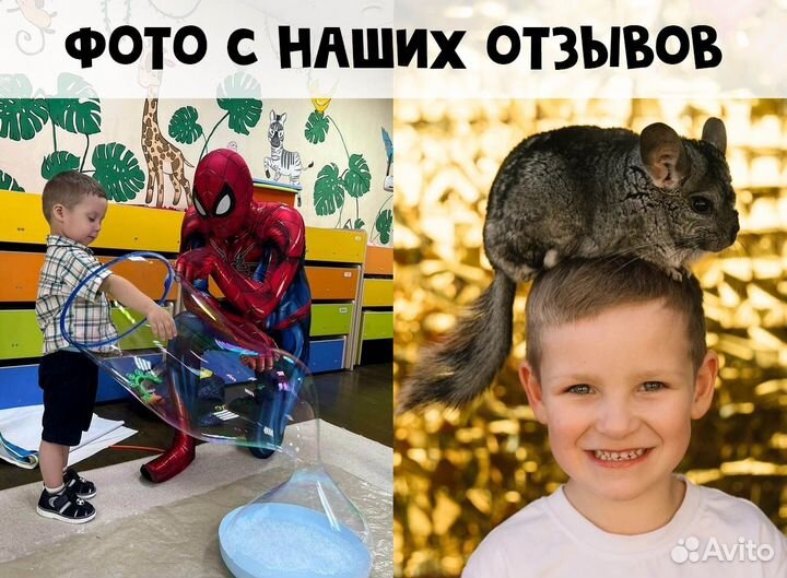 Аниматоры, аниматор на дом