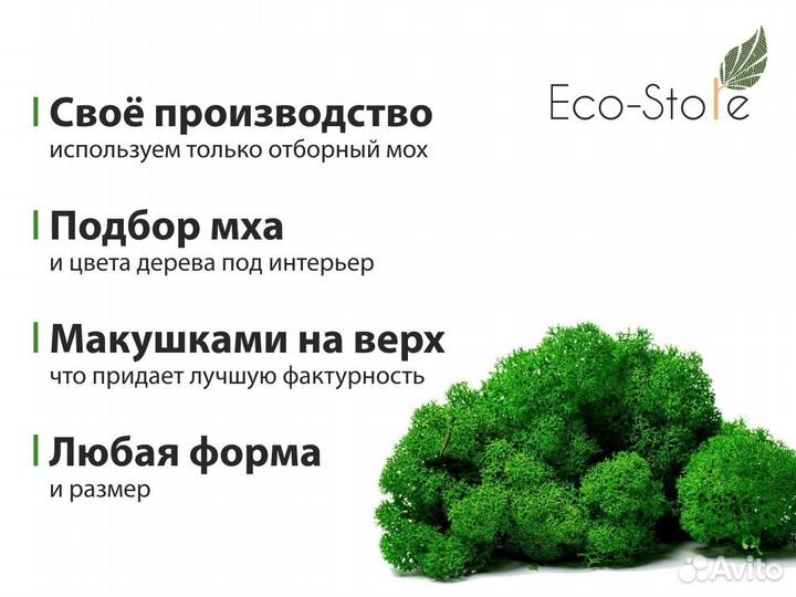 Панно из мха 50 см