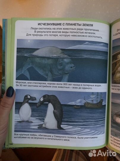 Книга для детей