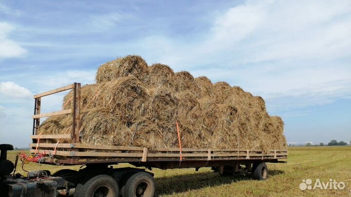 Сено лугавое (разнотравье)