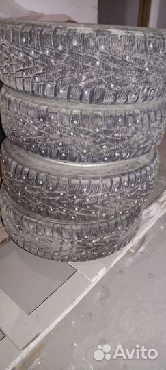 Nokian Tyres Nordman 7 175/65 R14 86T