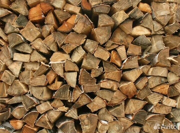 Дрова береза