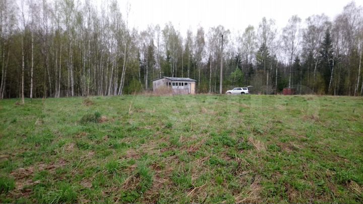 Участок 40 сот. (СНТ, ДНП)