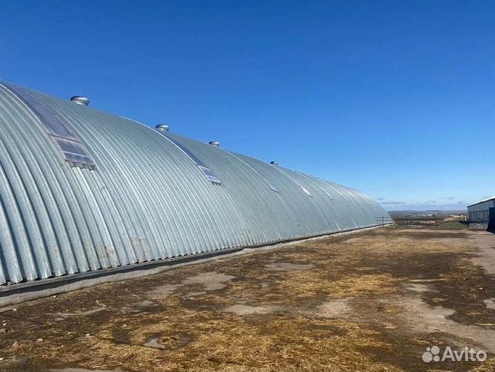 Бескаркасный ангар