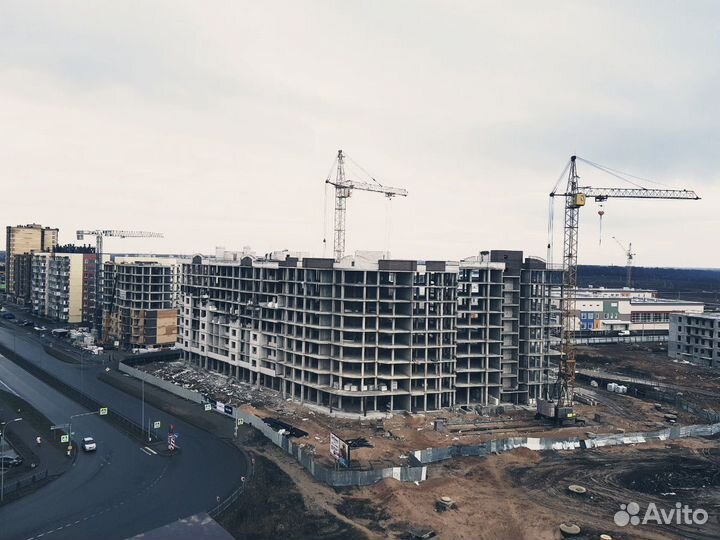 Услуги геодезиста