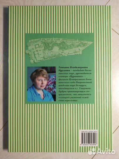 Вересковый сад в ландшафтном дизайне