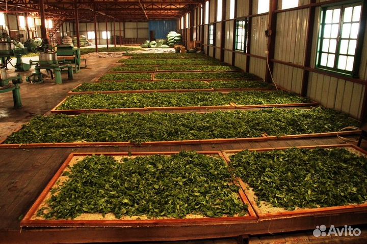 Лекарственные травы от производителя