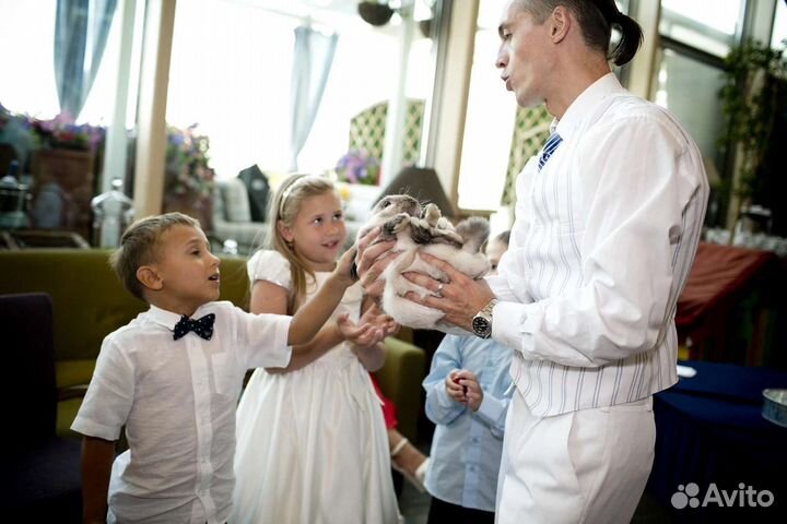 Фокусник на детский праздник анимация, шоу, пузыри