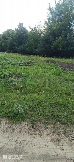 Участок 25 сот. (ИЖС)