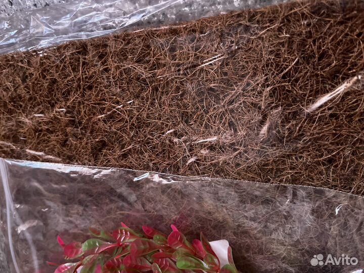 Набор для черепашек