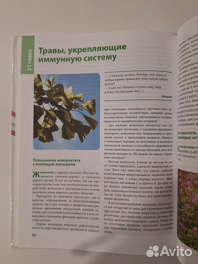 Молодость навсегда: 100 способов сохранить молодос