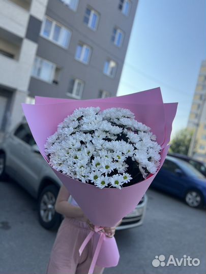 Букет ромашек XXL