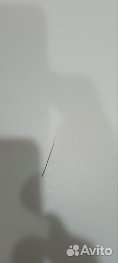 Кошачьи усы