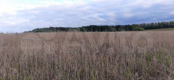 Участок 15 сот. (ИЖС)