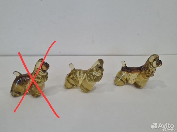 Кокер спаниель