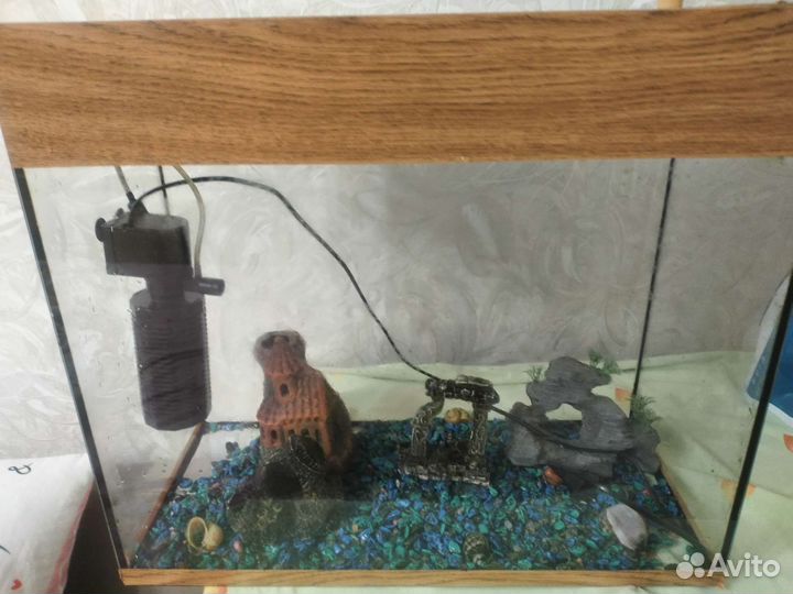 Аквариум на 50 литров