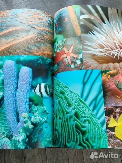 Новый Иллюстрированный атлас Земля