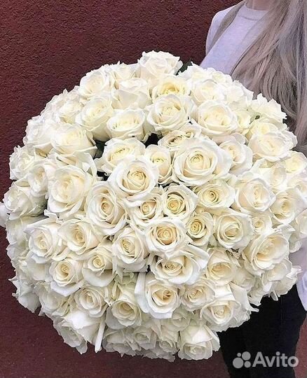 Розы Метровые 100 см доставка Москва