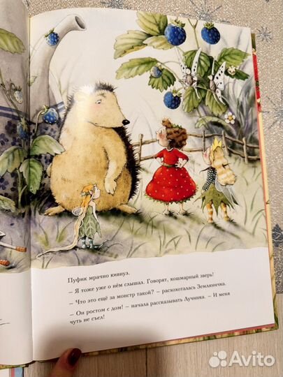 Земляничная фея. Две детские книги