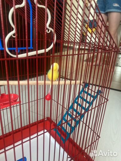 Клетка для попугая