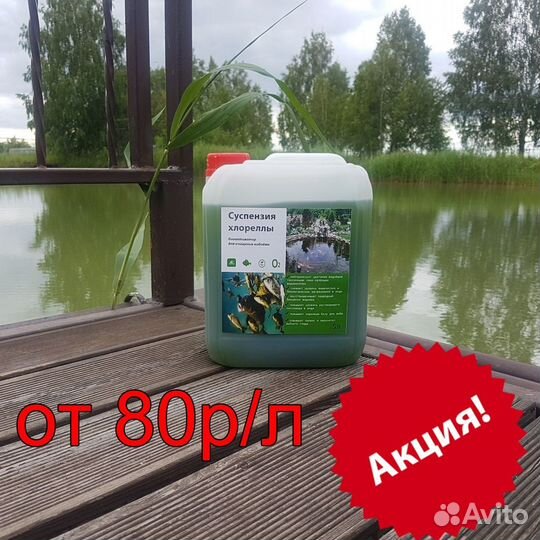 Хлорелла от производителя