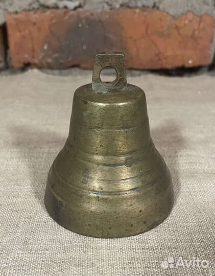 Колокольчик дужный